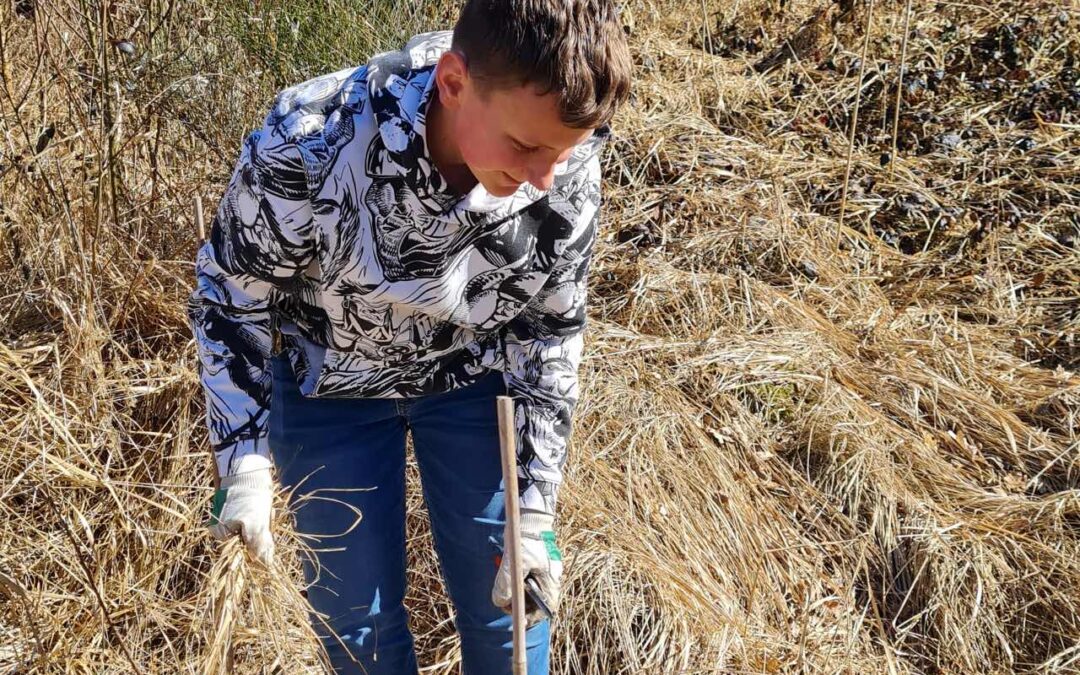 Auf in den Wald mit der AG „nachhaltig Leben”