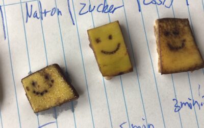 Wettbewerbskurs im MINT-Bereich!